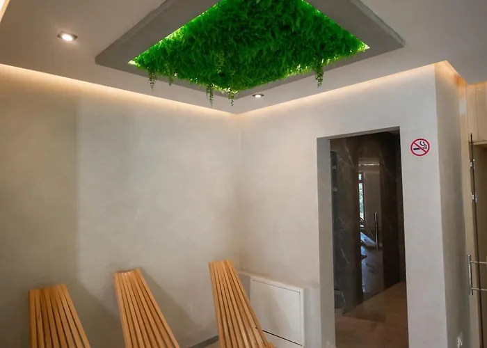 Panorama Tornik P4 * Zlatibor